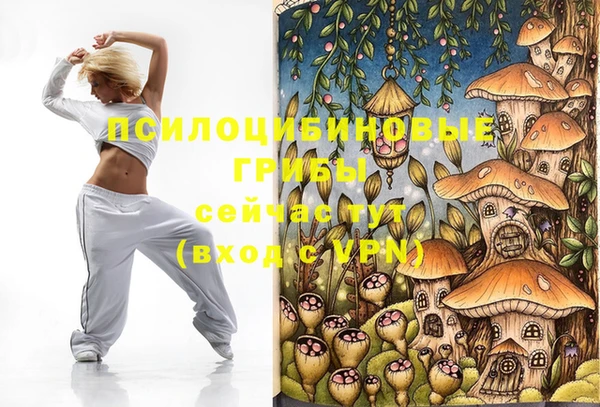 бошки Алексин