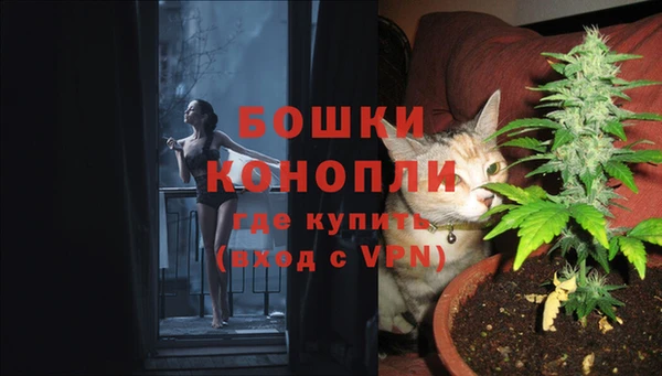 бошки Алексин