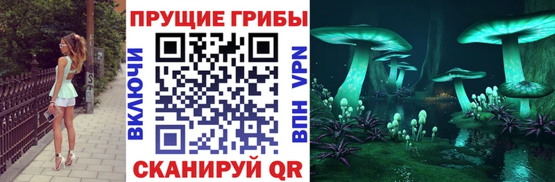цена наркотик  Саянск  Галлюциногенные грибы мухоморы 